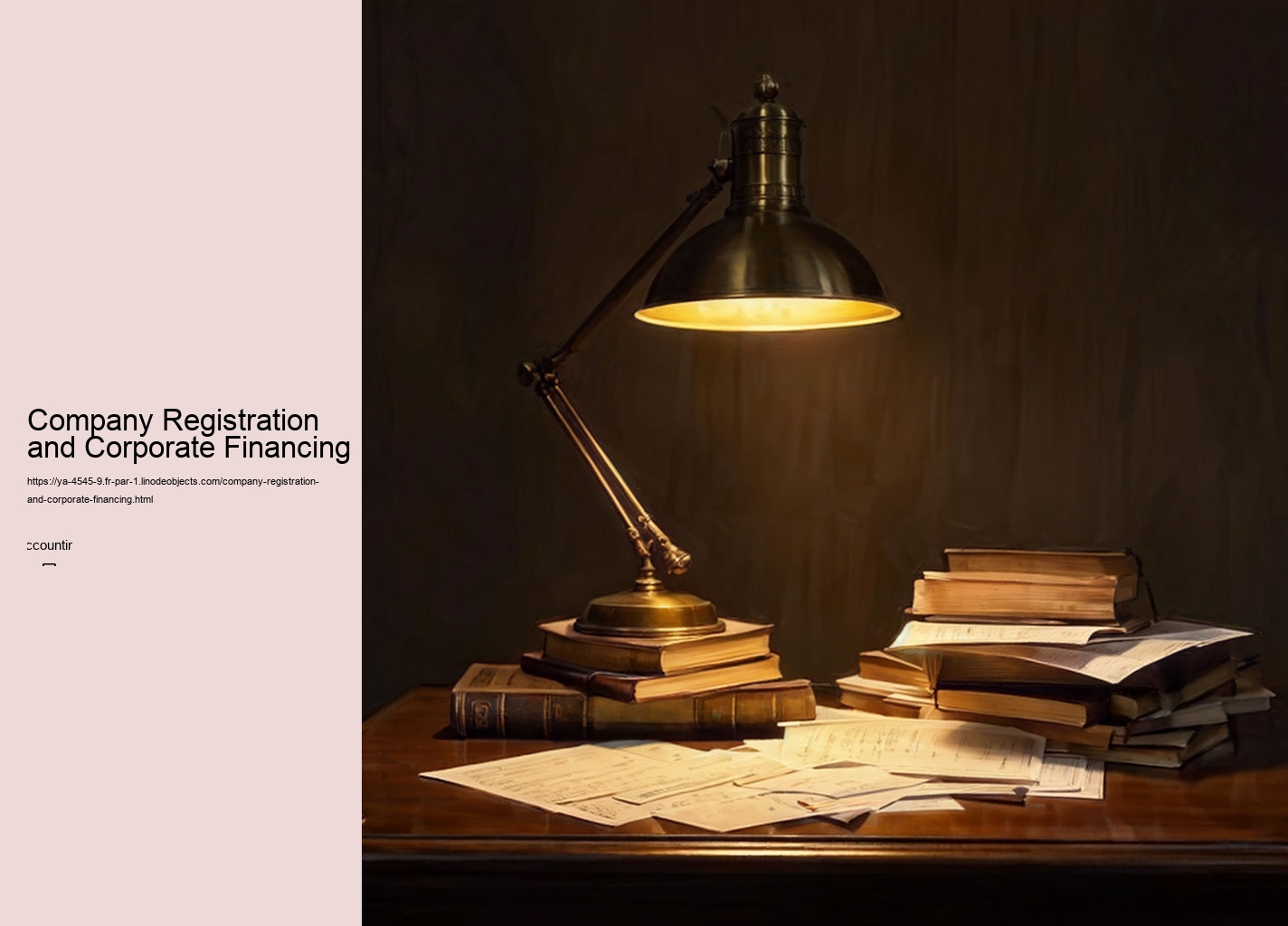 Company Registration and Corporate Financing