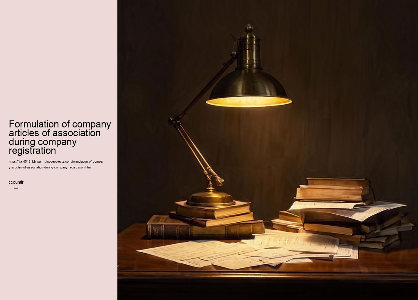 Formulation of company articles of association during company registration